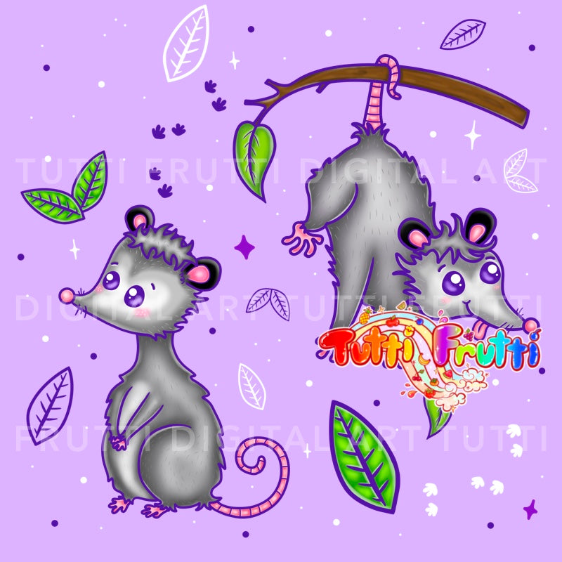 Cutie Possum - PNG
